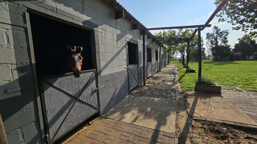 3 Bedroom Property for Sale in Mangaung Free State